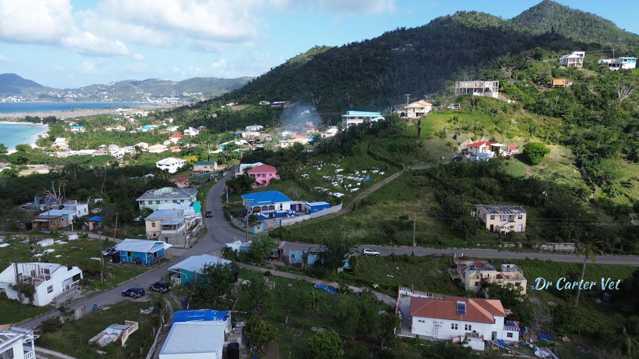 Год спустя: Долгосрочные последствия урагана Берил | Вид на Карриаку с дрона #природа #ураган