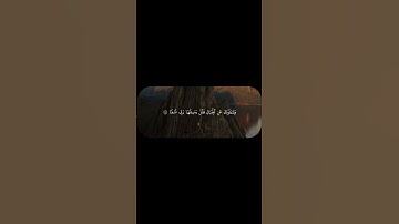 تلاوة خاشعة وجملية بصوت القارئ الشيخ محمد أيوب رحمه الله #اكسبلور #السعودية #لايك #ترند
