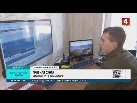 ГРИБНАЯ ОХОТА