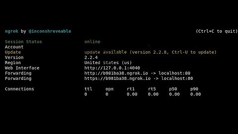 How to setup a minecraft server without hamachi and port forwarding!