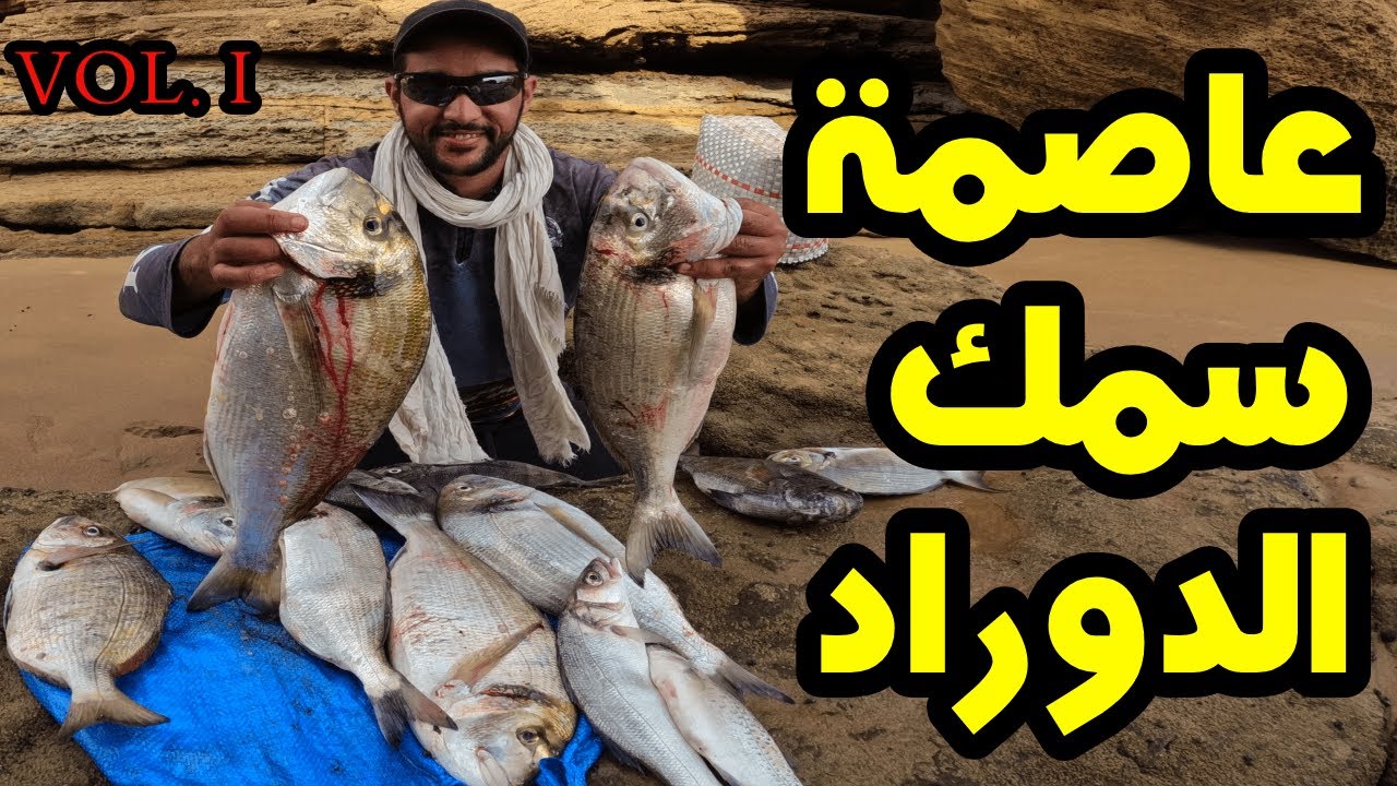 عاصمة سمك الدوراد : الجزء الاول