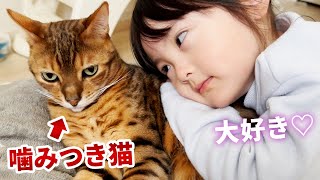 我慢の限界赤ちゃんの頃から一緒にいる妹娘の激しいスキンシップそれに対する元噛みつき暴れ猫の反応