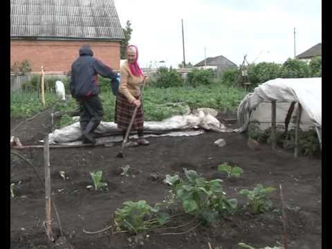 Илья Кадушкин- социальный работник.