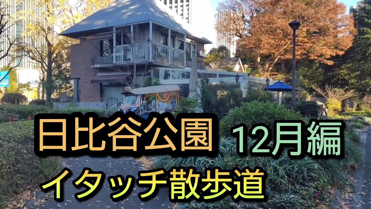 イタッチ散歩道　日比谷公園　12月編