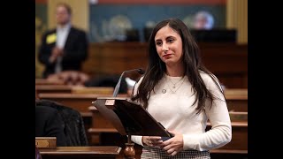 Michigan House Passes Manoogian’s Distracted Driving Bill