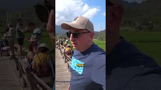 Discover This Bamboo Pier In Vietnam