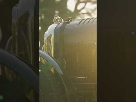 Beneath the roar of #Bentley engines and the rush of speed, Goodwood reveals its true soundtrack.