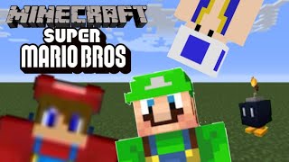 Super Mario Bros Add-on Review  Minecraft PE screenshot 2