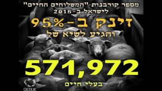 עמרי פז, הקונגרס הטבעוני הרביעי- האם אנחנו באמת מנצחים?