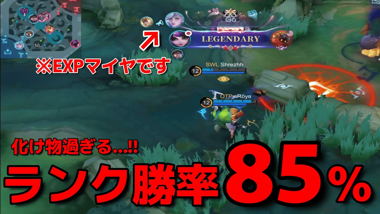 【日本トップクラス】なんだこの勝率…⁉圧倒的練度で敵を瞬殺するこのリリア使い一体何者⁉【モバレ】