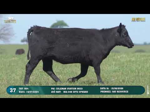 LOTE 037