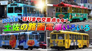 郷愁を感じる土佐の路面電車いろいろ 2025夏 @はりまや交差点付近