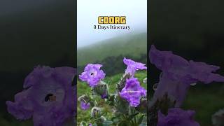 Coorg 3 Days Itinerary 🙌❤️ #shorts #ytshorts #coorg #itinerary #travel #viral #madikeri #karnataka