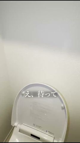 トイレ流れなくてつんだ！