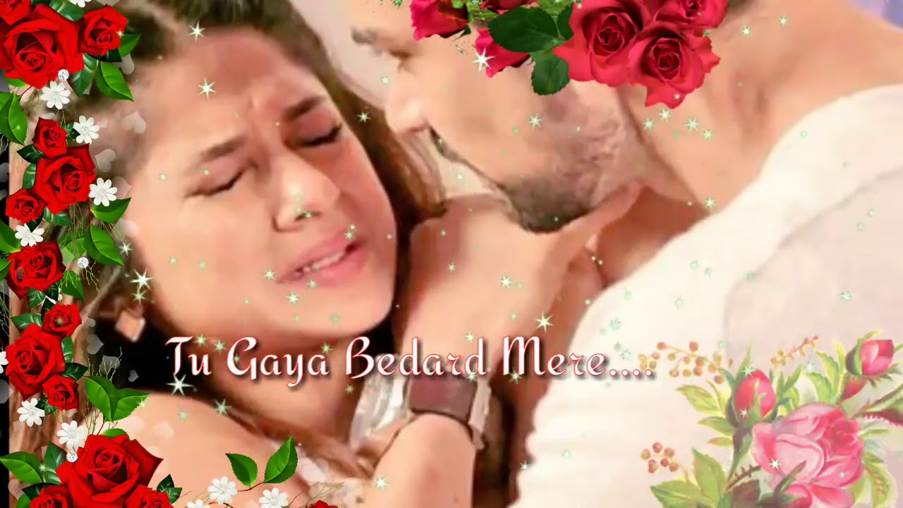 Jane wale O Jane wale jaanwar Akshay Kumar WhatsApp status