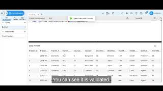 Input Text Box Parameter/Filter in Open Source BI Helical Insight Canned Report Module v6.0