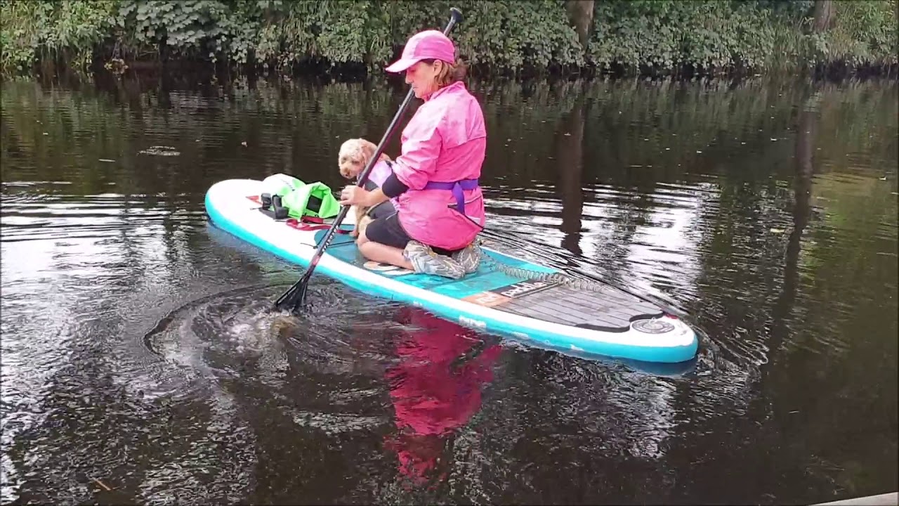 KidS'UP Dog Training for Paddleboards