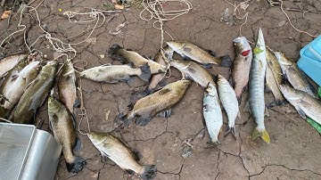Cùng với Huỳnh khoa fishing và VT thuận về bình Đại bến Tre câu lure cá chẽm