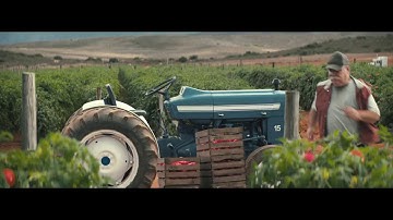 Pass The Ketchup - Heinz