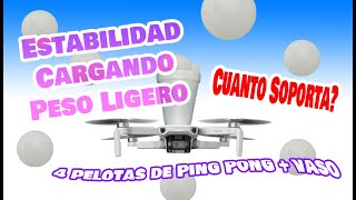 Cuanto Peso Soporta El Dji Mini SE - Prueba Ligera - Dji fly