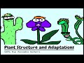 Plant Structure and Adaptations