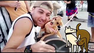 Dog skate rotask8 ( uma zuerinha aí )