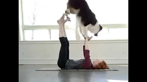 Trust  Practicing a new Doga position!  By  @my au...