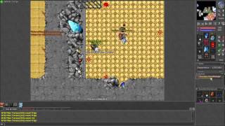 Tibia - GreenHorn Arena
