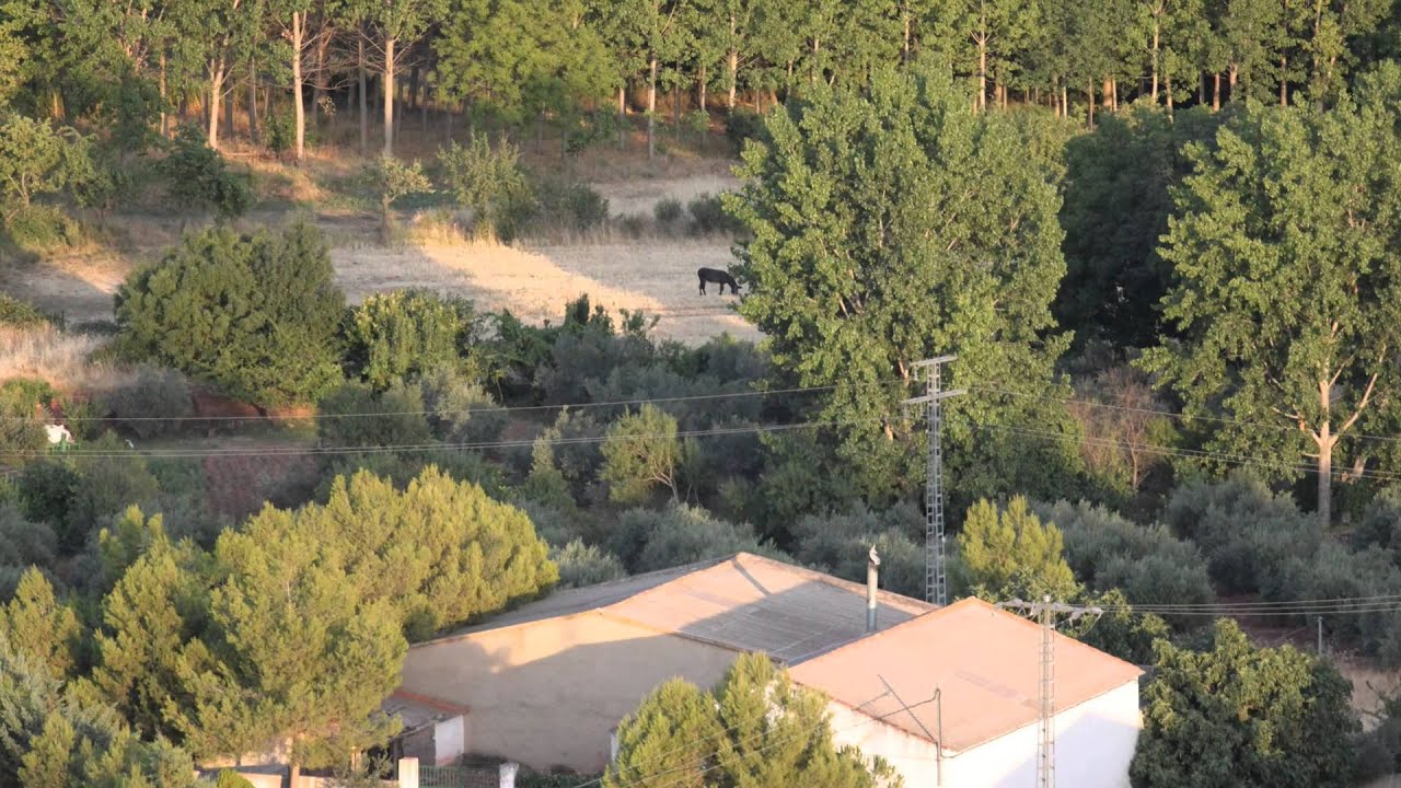 Vistas y paisaje de Alcaraz