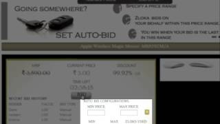 Zloka Zlauction Auto Bid Explanation - How To Set Up Auto Bids