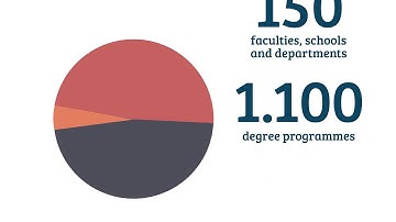 The VSMA Framework [en]