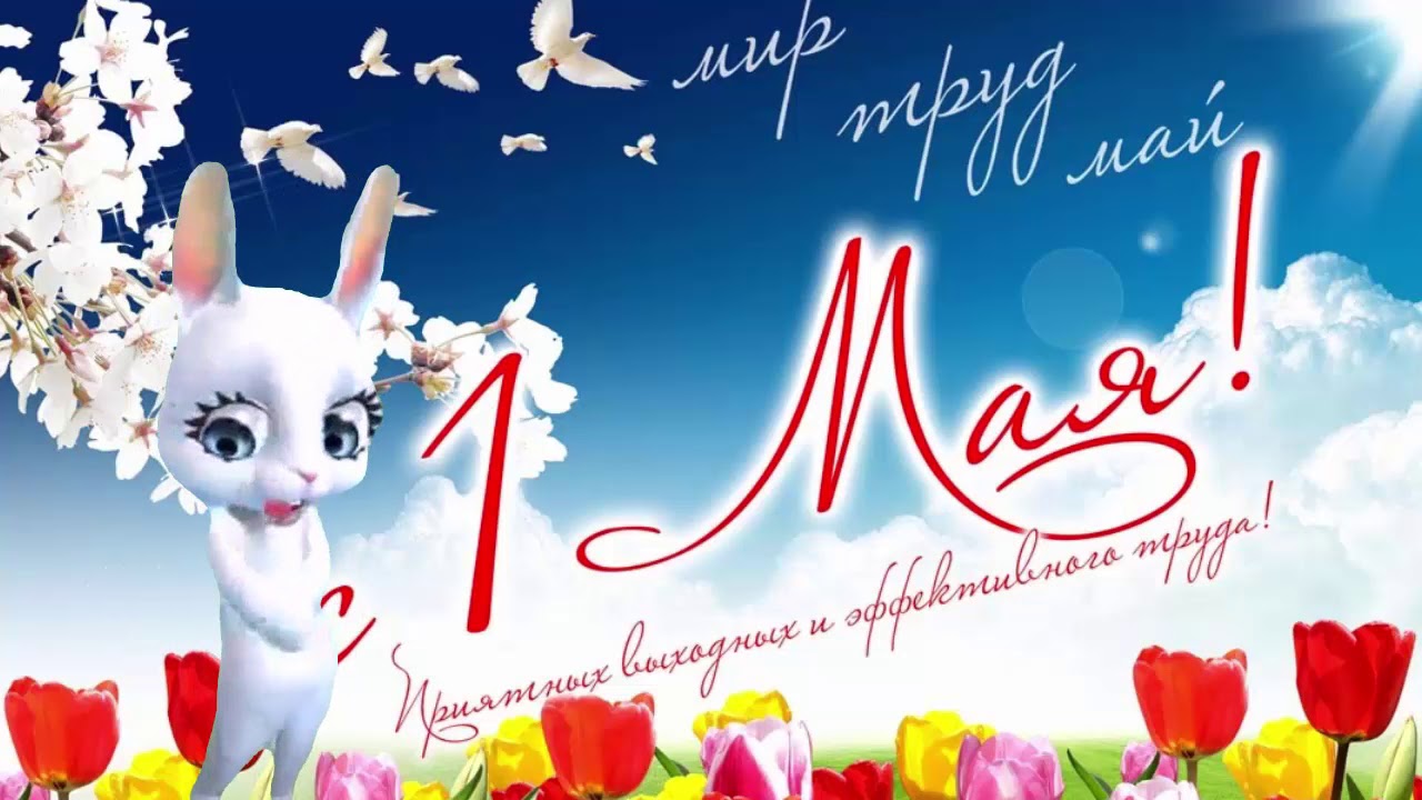 Скачать Видео Поздравление С 1