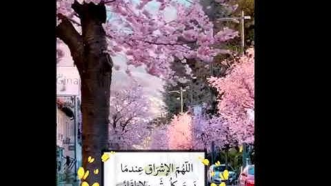 تلاوة هادئة تريح القلب 💚أيات قصيرة من القرآن 💚بصوت جميل جداً 💚أجمل تلاوة تريح القلب والعقل 🎧💗