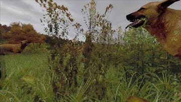 DayZ: Hacker, Helicopter & Animal Fun!