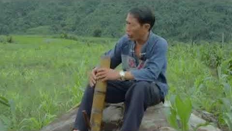 Tij laug pov qaib dib qhia txog kev haus yeeb thum yeeb