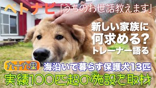 九十九里の保護犬施設に潜入取材 ~新しい家族に求める条件は？~