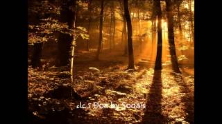 دعاء Doa by Sodais screenshot 2