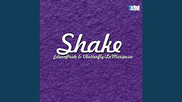 Shake (You Are the One) (Double Face Brazil Remix)