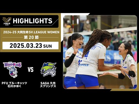 女子研究大学リングライト キャメロン20点 女子研究大学リングライト キャメロン20点 女子研究大学