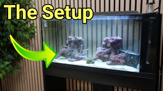 TMC First Wave 78L: Setting Up the Nano Reef Tank