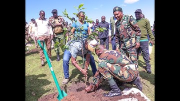 Tree Planting Exercise in Kobujoi forest, Nandi County