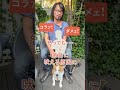 愛犬が乗り物に吠えるときの対策テクニック