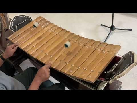 เต่าเห่ทางทุ้ม - Youtube