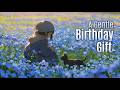 BLUE Celebrates YOU ― あなたを祝福する青 | A Gentle Gift for April Birthdays | Lo-Fi Vocal | Fina Klaverl