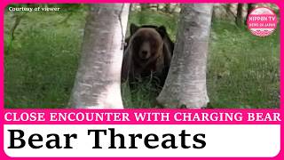 Bear charges at moving car, university cancels classes after bear sightings in northern Japan