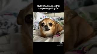 Who Can Cut Your Balls Off