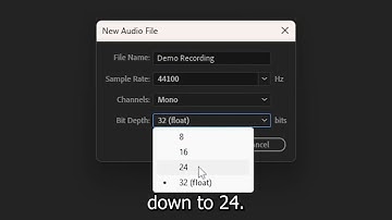 2 Waveform Editor   Recording