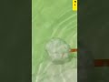 Simple tool for collecting snow efficiently from water
