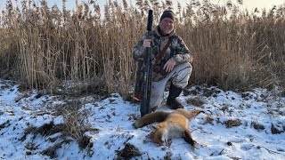 Calling foxes with Kristoffer Clausen, Global Adventure S .1 Episode 8