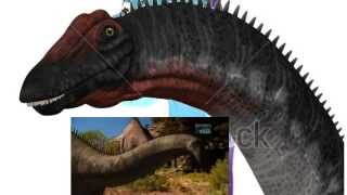 Dinosaur Discoveries Apatosaurus